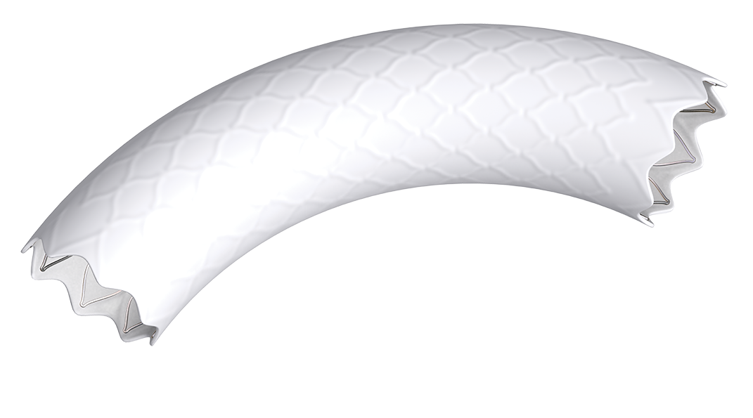 Pyramed Begraft Aortic Stent Graft System